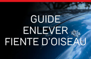 Comment enlever une fiente d'oiseau sur une voiture